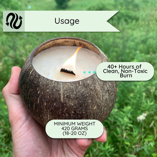 Natural Coconut Candle in a Real Coconut! Mixture of Natural Coconut and Soy Wax - Burns Over 40 Hours!